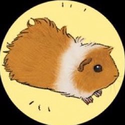 🐹紺🐟さんのプロフィール画像