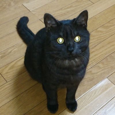 Masahiro1125T's profile picture. 千葉県木更津在住。
木更津も水道が外資による支配済み(R6.5) 
世界中で起きている事象はすべて繋がっている。
無思考無関心で依存し、自身で考えることの無い人達、これが本当の敵である。
表に出てくる演者達（私のフォローの中も）は『両建』という事実を、そしてその先の本質を知れ。如何に己が白痴化されているかを自覚せよ。