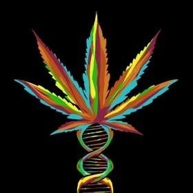 Mr_Leonberger's profile picture. Moin moin
🥦 Koch aus Leidenschaft
#LegalizeIt
Antifa und Fahrrad fahren
Bushcraft&Outdoor trekking
#Weedmob #FCKAFD #FCKNZS