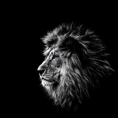 Pacific_101's profile picture. 🪫 Electrophysics Engineer 🔋|♟Chess Enthusiast♟|