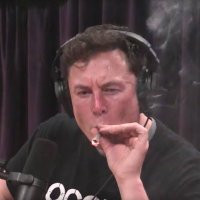 Confissões pro Elon musk ler cagando(@confissoes_xx) 's Twitter Profile Photo