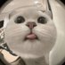 Dimo (@dimo6dimo) Twitter profile photo Dimo (@dimo6dimo) Twitter profile photo