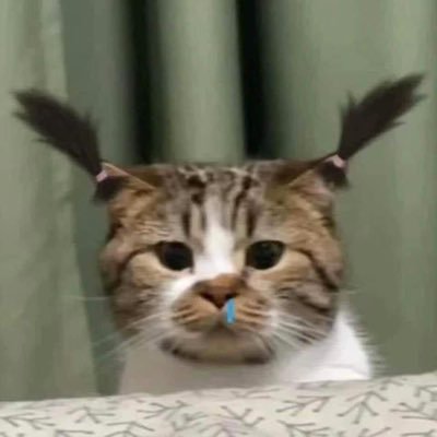 pknp1802's profile picture. 