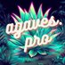 Agaves Pro (@AgavesPro) Twitter profile photo