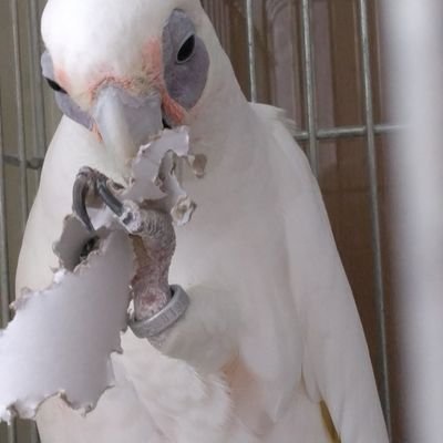 JY5AaPF7eU19170's profile picture. 動物好き
Kis-My-Ft2が気になり
ファンクラブ入りました
ライブ行きました
宮玉から沼りました
二階堂君が大好きになりました
ニカ千も大好きです
6人全員好きです
無言フォロー失礼いたします