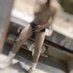 黑皮猛1 (@xiaoqi10000) Twitter profile photo 黑皮猛1 (@xiaoqi10000) Twitter profile photo