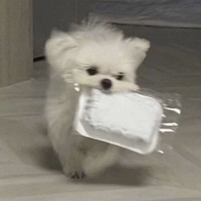 eodalto's profile picture. 사랑은 벼락이다