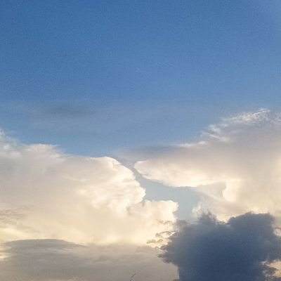 hemantmourya118's profile picture. CEO & Co Founder IDC VENTURE  Technology Solution is a Indian -based IT-software development company providing businesses. Startup india company