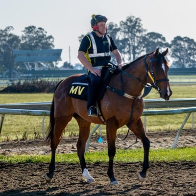 📍Hawkesbury based          🐎 Breaking & Pre-training Services