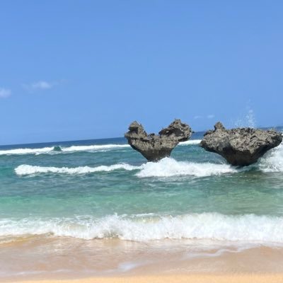 Gkeutkp's profile picture. SHOW-YA 、NEMOPHILA、KOIAI 、Li-sa-X、ビースト•アニマルズ、ねも⤴︎ひら⤵︎。ꕤ︎︎NEMOPHILA〜 mayuちゃんの歌声に落ち🎤ハラグチサンの笑顔のズクズクに撃たれ🎸葉月さんのエレガントさに痺れ🎸たむさんの魂のドラム🥁 に一生ついていくと誓いました🙏