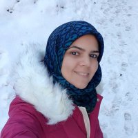 ZahraAbedini (@abediniart) 's Twitter Profile