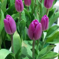 SORAのまほう (@sora_no_maho_5) 's Twitter Profile Photo