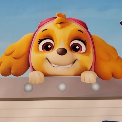 paw_skye_love's profile picture. パウパトロール好き！スカイ・マーシャル・ロッキーが推し😊 最推しはスカイとマーシャル(*´`)♡ 最近はしかのこのこのここしたんたんとかも好き( *¯ ꒳¯*)