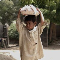 Ahsan|Hunger Relief Traders(@Ahsanfx1) 's Twitter Profile Photo