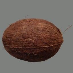 coconut_jpgg Profile Picture