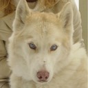 Roger Power - @RogerAPower64 - Twitter