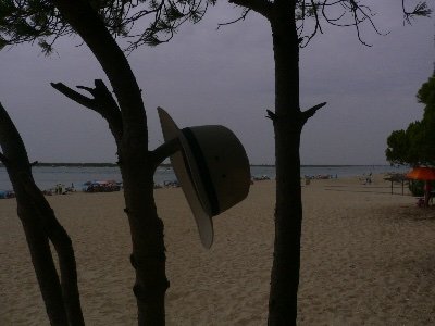 Husband, Dad, Papa: loved travelling, love food and drink, people, reading, enjoy photography but very much an amateur.