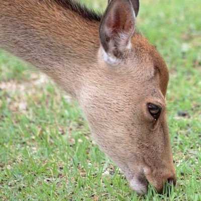 鹿部 等さんのプロフィール画像