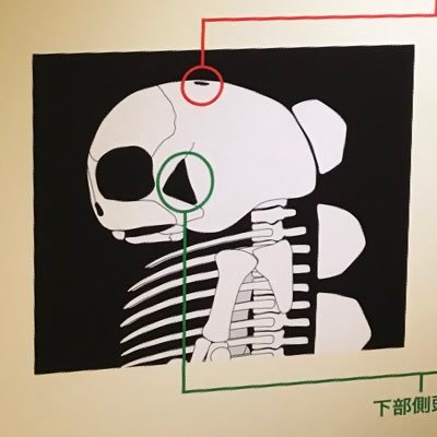 アニメ、声優さん、ジャンルは幅広。 Kiramuneは箱推しで。色々雑食気味。当方は成人済み。いいねとRTぽちぽちしがちです。