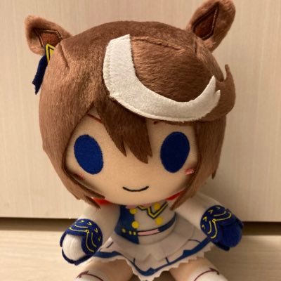 ウマ娘メインアカウントです！テイオー推しです！気になる方への無言フォローをお許しください。フォロバします！