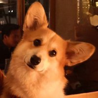 Coco (@noixdecoco75) 's Twitter Profile Photo Coco (@noixdecoco75) 's Twitter Profile Photo