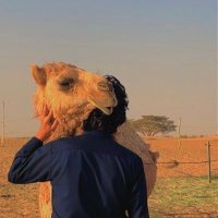 فهدالمقبالي (@almqbalyfahad) 's Twitter Profile