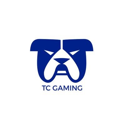 TC Gaming Profile