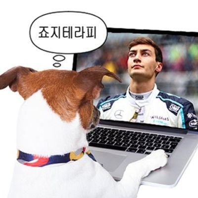 바우와우 🦭さんのプロフィール画像