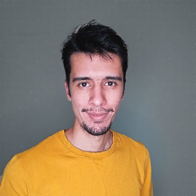 Django/GO programmer