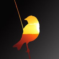 stevewhiteraven photography (@stevewhiterave1) 's Twitter Profile Photo stevewhiteraven photography (@stevewhiterave1) 's Twitter Profile Photo