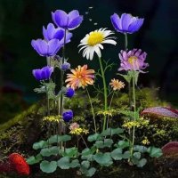 B (@ahmdmhmd94903) Twitter profile photo