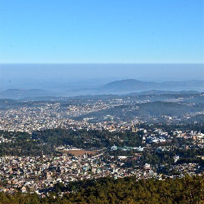 piy_mis's profile picture. Human