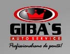 Serviços & Peças p/ Veículos Importados . Revisões / Diagnósticos Computadorizados ON LINE com a Europa / Suspensão / Serviços Elétricos / Trabalhos Eletrônicos