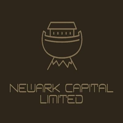 newArk_Capital Profile Picture