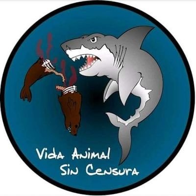 Página informativa sobre el día a día en la Vida de los Animales sin Censura, mi cuenta personal es @kurco04