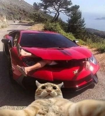 Ayo_Jnr04's profile picture. Builder and Visionary ✨
+ history, WTF moments and memes 😂