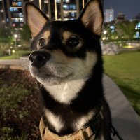 Yu-Liang Ting (@brandontingvgc) 's Twitter Profile Photo Yu-Liang Ting (@brandontingvgc) 's Twitter Profile Photo