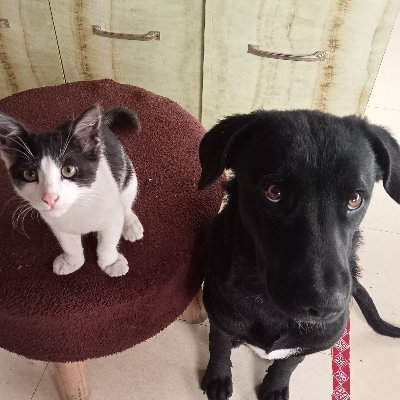 abhip401's profile picture. 