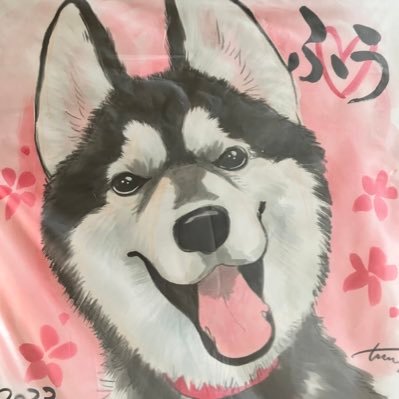 【空シド】ヒョウ　オオカミ　シベリアンハスキー　4点　BAEZ3 空シド】ヒョウ オオカミ シベリアンハスキー 4点 BAEZ3 空シド様専用