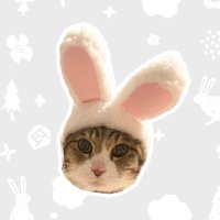 🐈RubiA🐈⬛ (@rubia_lucky) 's Twitter Profile Photo 🐈RubiA🐈⬛ (@rubia_lucky) 's Twitter Profile Photo