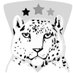 Task Force Snow Leopard - Afghanistan (@AfgLeopard) Twitter profile photo