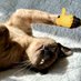 Thatโs Mrs Banana To You! (@bananasiegel) Twitter profile photo Thatโs Mrs Banana To You! (@bananasiegel) Twitter profile photo