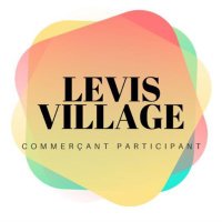 Lévis Village(@LevisVillage17) 's Twitter Profile Photo
