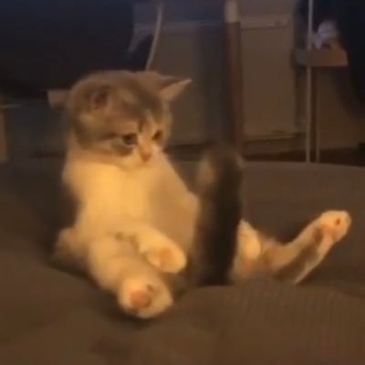 ゆきむー