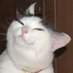 Ming Fong (@busingenjoyer) Twitter profile photo Ming Fong (@busingenjoyer) Twitter profile photo