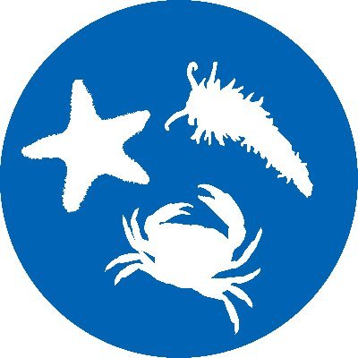 Senckenberg Ocean Species Alliance 
We have stepped away from Twitter, but you can find us on Instagram, Facebook, LinkedIn, Bluesky, and Threads - linked below