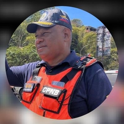 DIRECTOR de Tránsito Terrestre del Cuerpo de Policía Nacional Bolivariana. 

VICEPRESIDENTE del Instituto Nacional de Transporte Terrestre.