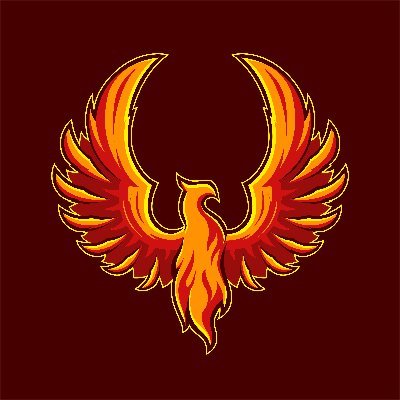 F/A Female @Valorant Team for @PhoenixBrigade
🔥Rise from the ashes, join the Brigade🔥