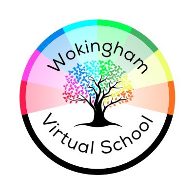 Wokingham Virtual School champions the progress and educational attainment of children and young people who are or who have been in care.