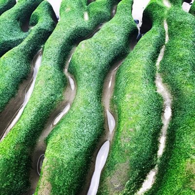 hello1069mrp's profile picture. 無聊看看